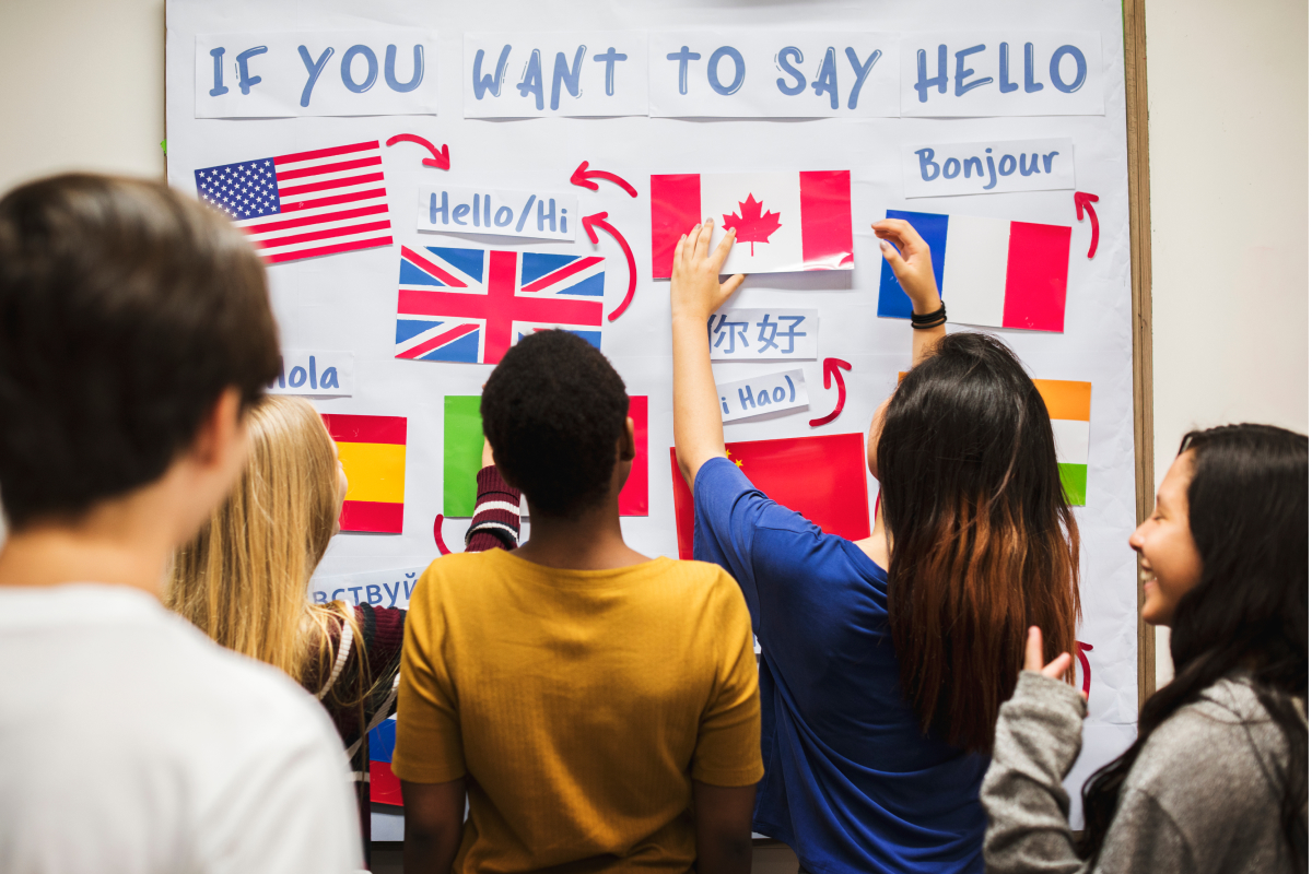 diversidad cultural diversidad cultural