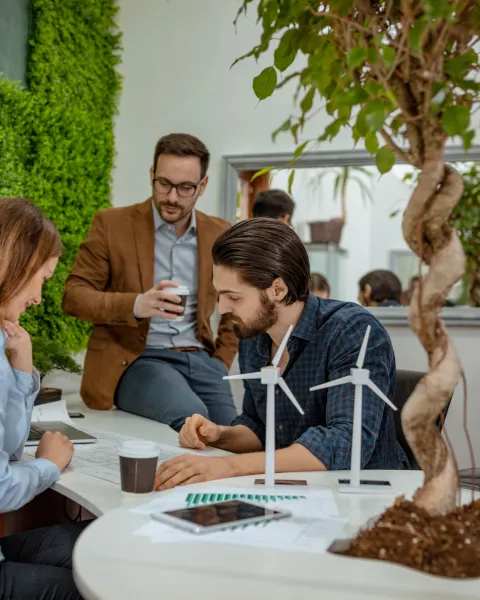 MBA in Sustainability Management