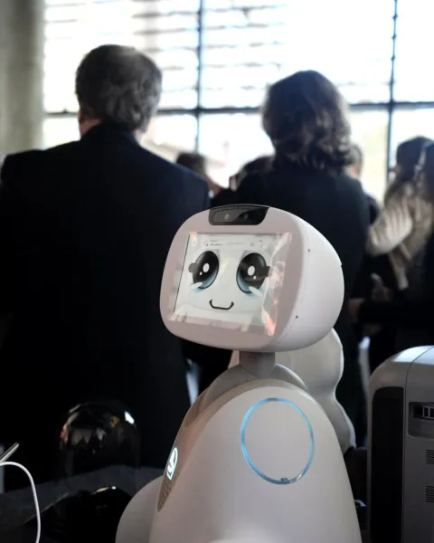 6.Robots