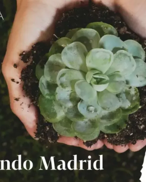 Reforestando Madrid 