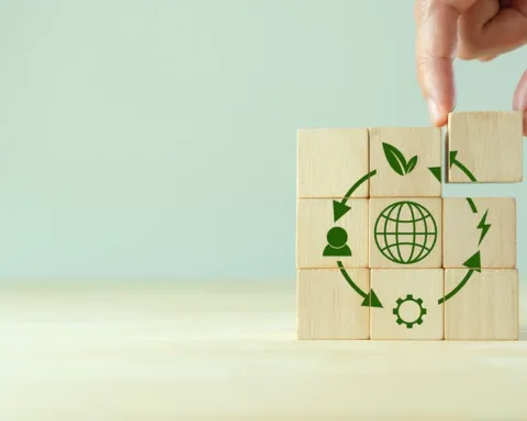 circular economy