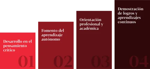 Formación
